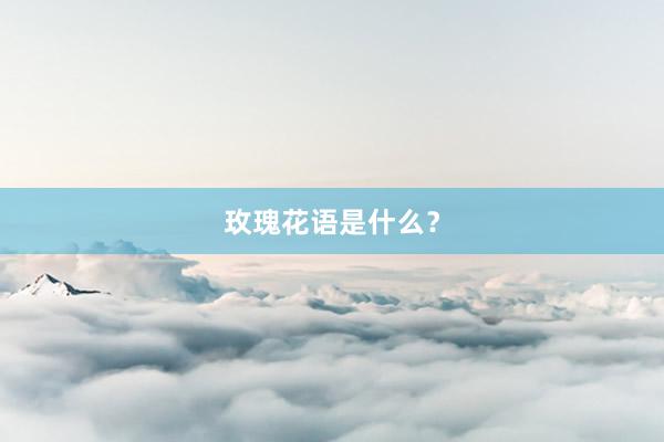 玫瑰花语是什么？