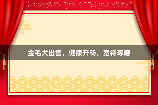 金毛犬出售,健康开畅,宽待琢磨