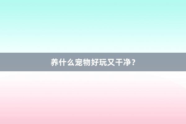 养什么宠物好玩又干净?